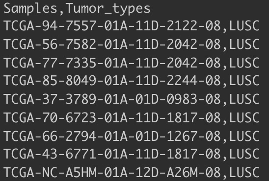 screenshot of example annotations