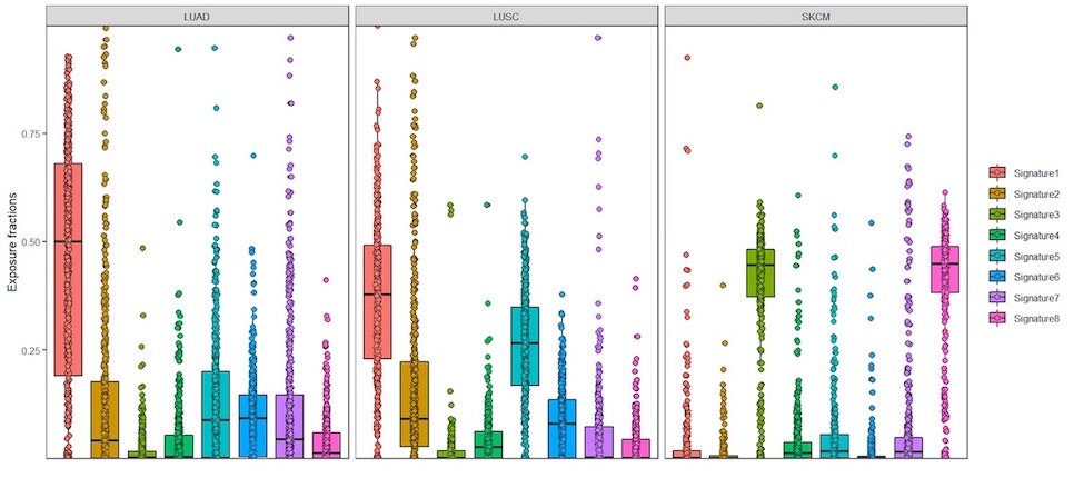 screenshot of exposures boxplot, grouped by tumor type