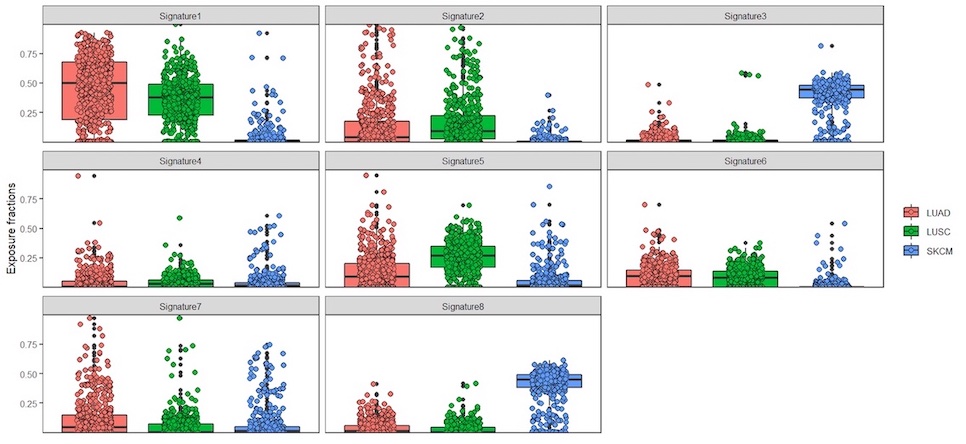 screenshot of exposures boxplot, grouped by signature